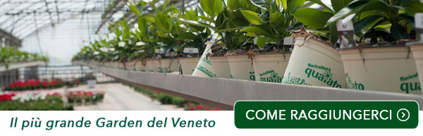 floricoltura quaiato dove siamo