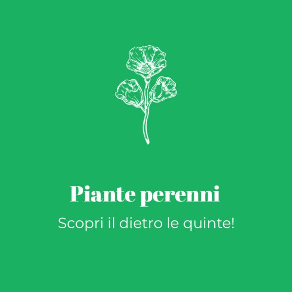 Produzione agricola di piante perenni