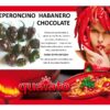Peperoncino super piccante habanero chocolate - immagine 2