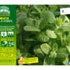 Menta mela verde - immagine 2