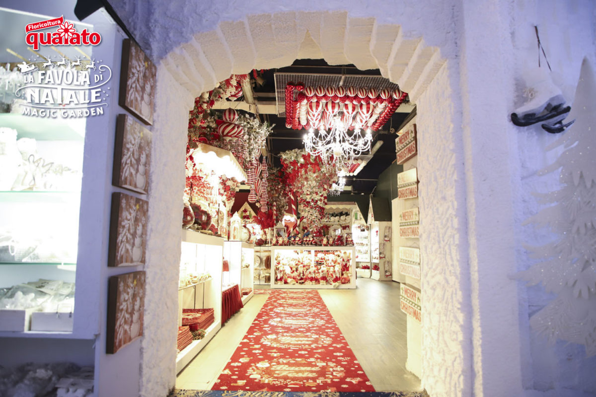 Rosso, il colore delle feste! - immagine 2