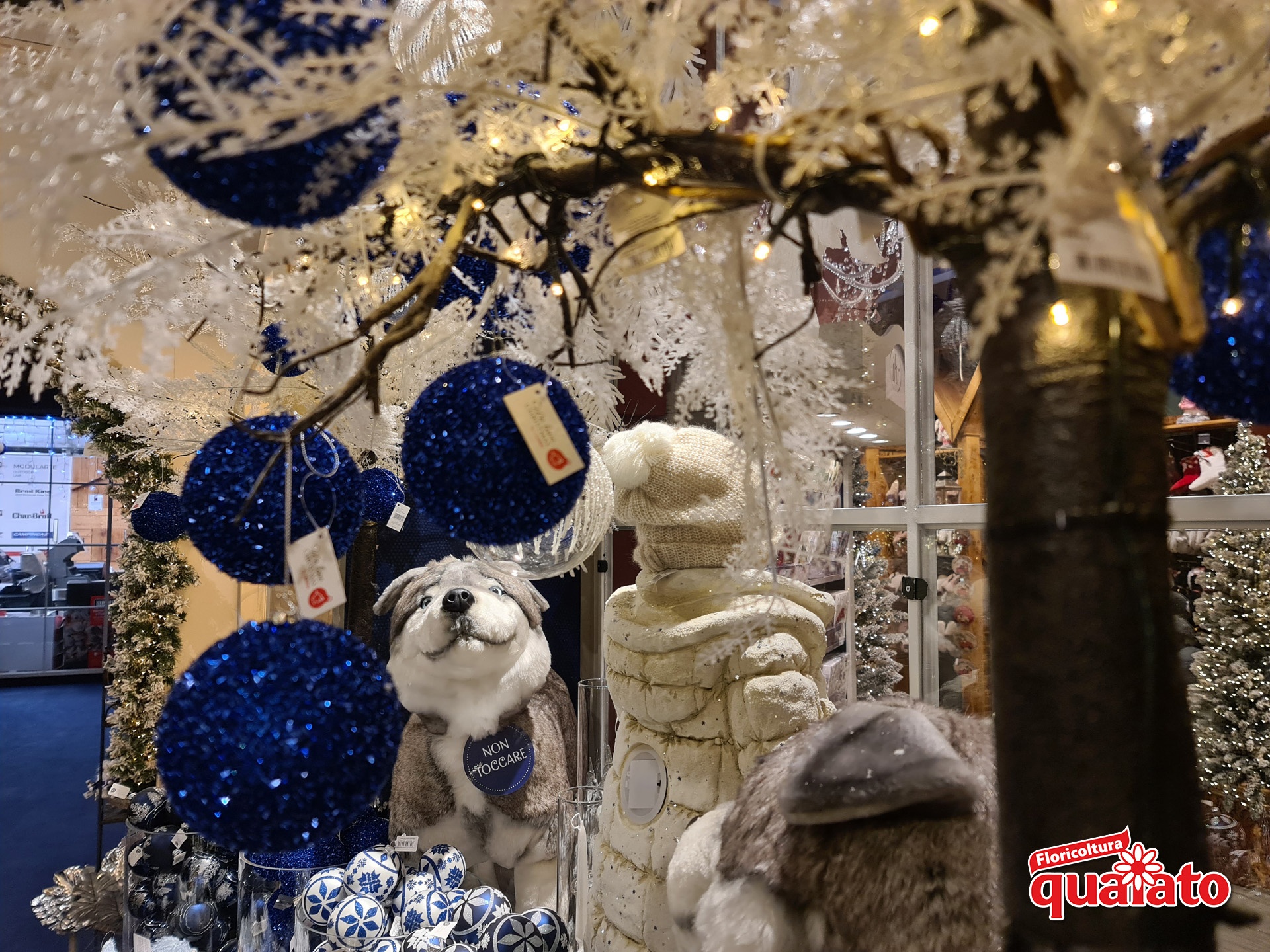 Magic Christmas - immagine 15