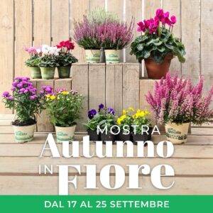 Copertina-autunno-in-fiore-2022