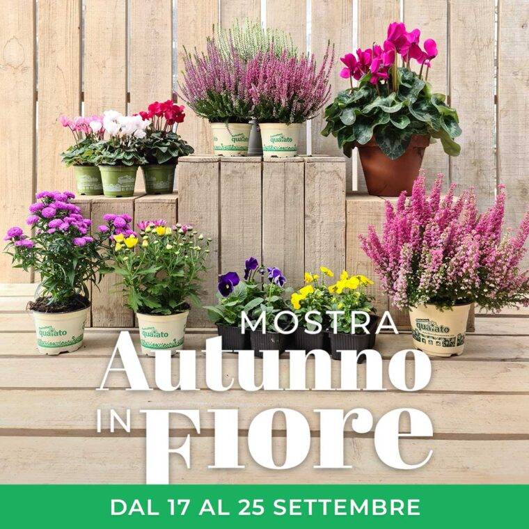 Copertina-autunno-in-fiore-2022