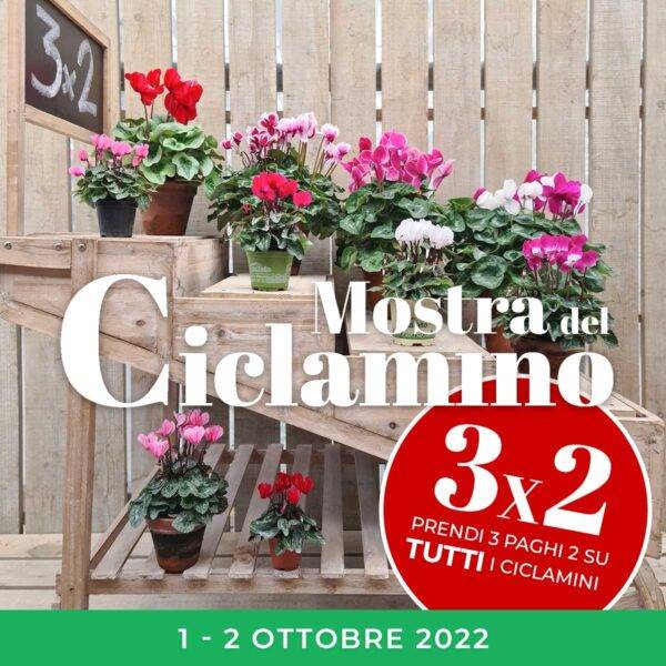 Copertina mostra ciclamini 2022