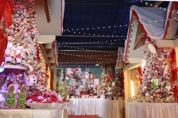 natale-2022-floricoltura-quaiato-2
