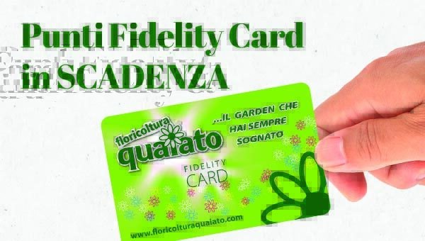 fidelity-card-azzeramento-punti-2023-newsletter