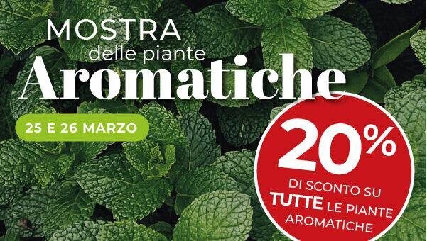 img-newsletter-mostra-aromatiche-2023