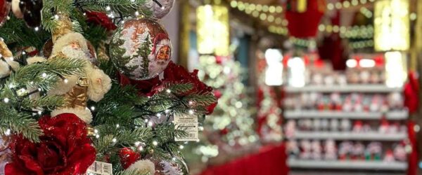 favola di natale-villaggio di natale-addobbi natalizi-decorazioni natalizie-rosso natale-quaiato_1005