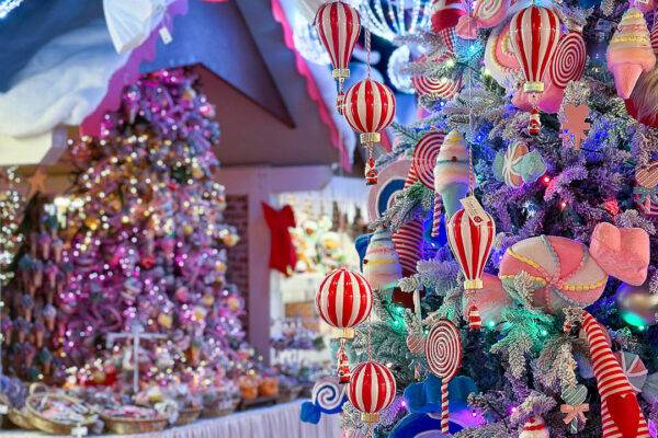 favola-di-natale-villaggio-di-natale-quaiato_0737