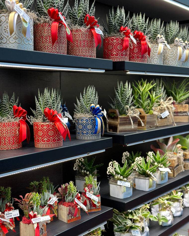 idee regali di natale-idee regalo natale-composizioni floreali-quaiato-natale