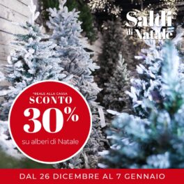 saldi-natale-23-30-alberi-quaiato-100