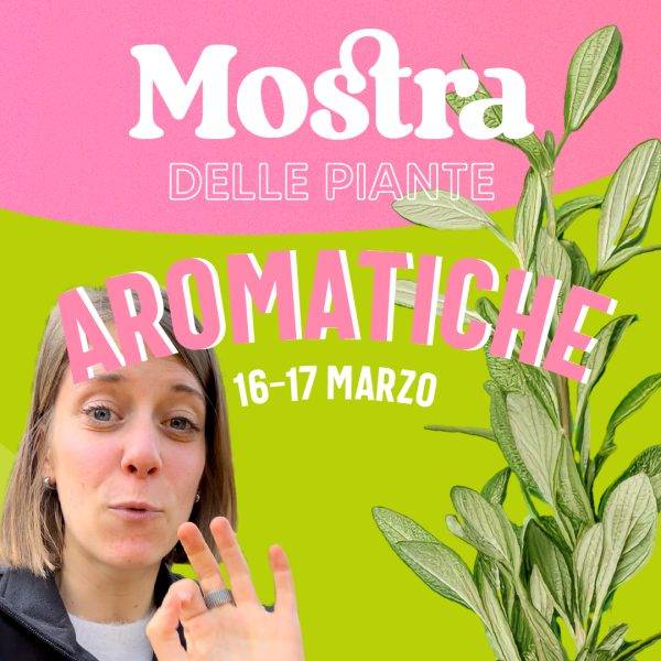copertina-articolo-sito-mostra-aromatiche2-100
