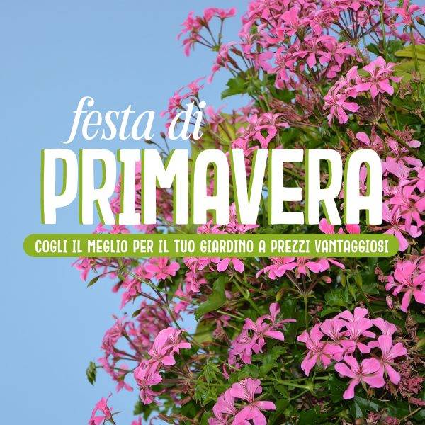 copertina-neslwtter-100-2