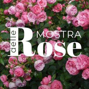 copertina-post-social-e-articolo-mostra-delle-rose-2024