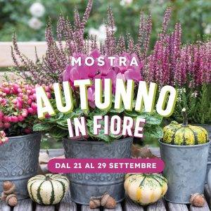 mostra autunno in fiore 2024-piante autunnali quaiato