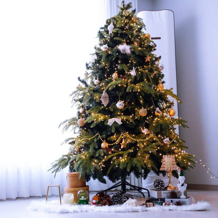 copertina-come-mettere-le-luci-sullalbero-di-natale-quaiato