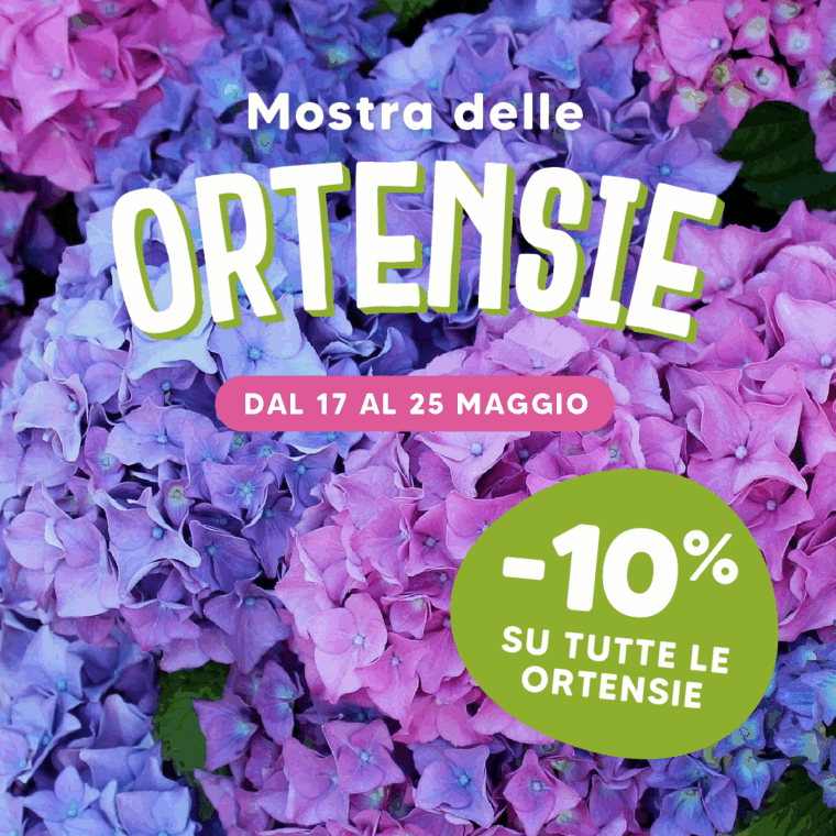 copertina articolo sito-mostra ortensie 2025