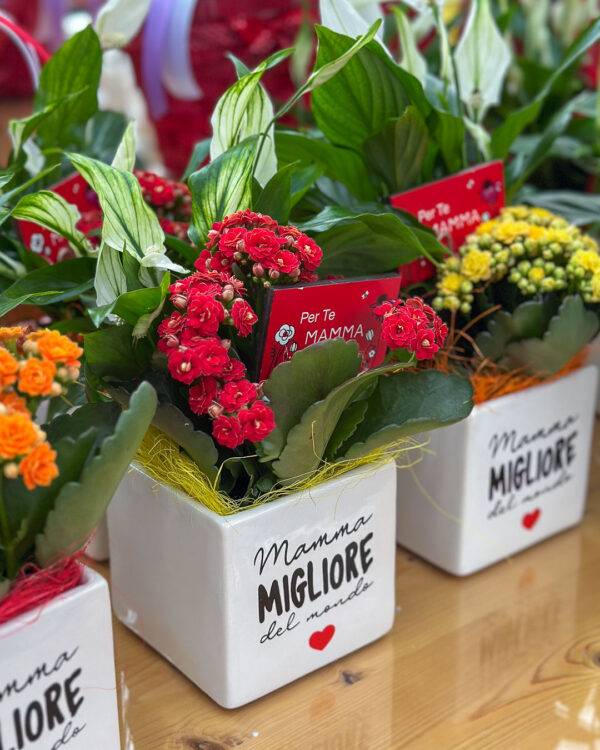 festa della mamma-idee regalo mamma-composizioni floreali-garden quaiato
