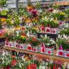 festa della mamma-idee regalo mamma-composizioni floreali-garden quaiato
