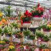 festa della mamma-idee regalo mamma-composizioni floreali-garden quaiato