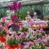 festa della mamma-idee regalo mamma-composizioni floreali-garden quaiato