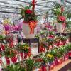 festa della mamma-idee regalo mamma-composizioni floreali-garden quaiato