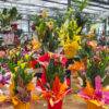 festa della mamma-idee regalo mamma-composizioni floreali-garden quaiato