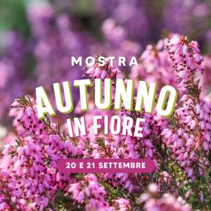 mostra-autunno-25-copertina-articolo-sito