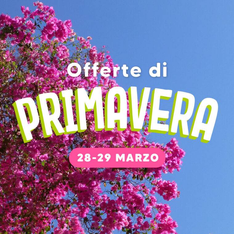 offerte-di-primavera-copertina-sito-piante-in-offerta-a-verona