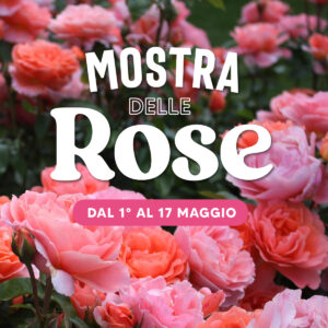 opertina-mostra-rose-aito-quaiato-copia-2-100