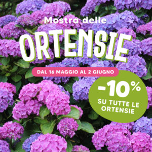 copertina-articolo-sito-mostra-ortensie-verona-quaiato