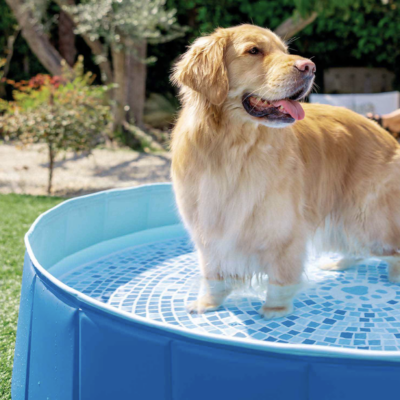 48400NP-intex piscina per cani rotonda3