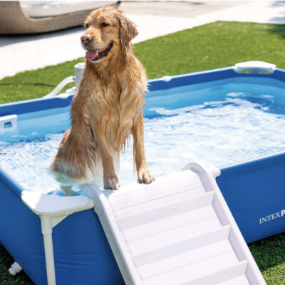 48404NP-piscina cani rettangolare-intex