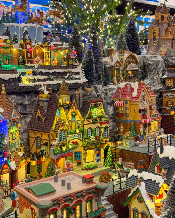 natale a verona-christmas store-alberi di natale-luci di natale-presepe-addobbi natalizi-decorazioni natalizie-villaggi lemax-quaiato_5507