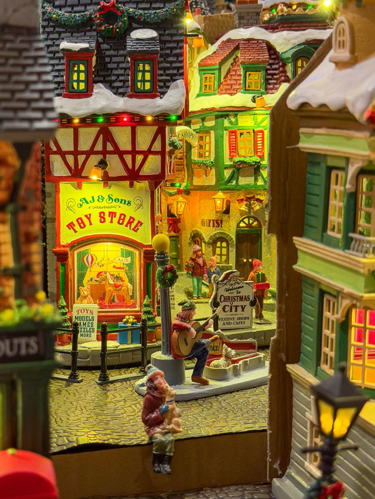 natale a verona-christmas store-alberi di natale-luci di natale-presepe-addobbi natalizi-decorazioni natalizie-villaggi lemax-quaiato_5572