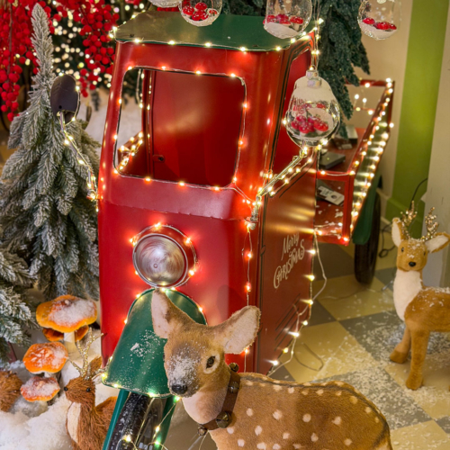 natale a verona-christmas store-alberi di natale-luci di natale-presepe-addobbi natalizi-decorazioni natalizie-villaggi lemax-quaiato_5884