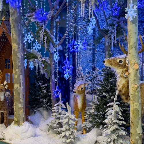 natale a verona-christmas store-alberi di natale-luci di natale-presepe-addobbi natalizi-decorazioni natalizie-villaggi lemax-quaiato_5948