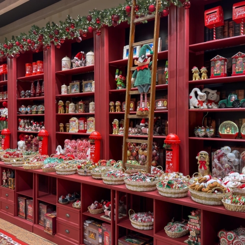 natale a verona-christmas store-alberi di natale-luci di natale-presepe-addobbi natalizi-decorazioni natalizie-villaggi lemax-quaiato_6028