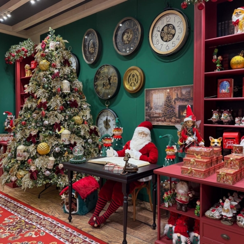 natale a verona-christmas store-alberi di natale-luci di natale-presepe-addobbi natalizi-decorazioni natalizie-villaggi lemax-quaiato_6081